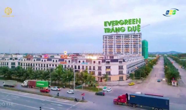 NOXH Evergreen Tràng Duệ Hải Phòng 26m2 và 54m2