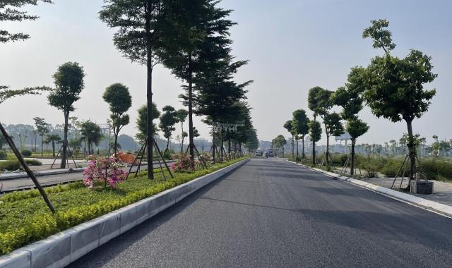 Nhanh tay sở hữu lô đất liền kề LK18 vị trí đắc địa view công viên, nằm trong khu đô thị đáng sống