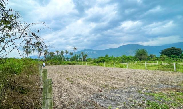 Bán 3 Lô Đất Liền Kề - Xã Suối Tiên, Huyện Diên Khánh, Tỉnh Khánh Hòa