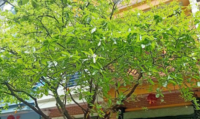 Bán nhà phân lô LK Mỹ Đình 60m2 5 tầng thang máy giá chỉ nhỉnh 18 tỷ