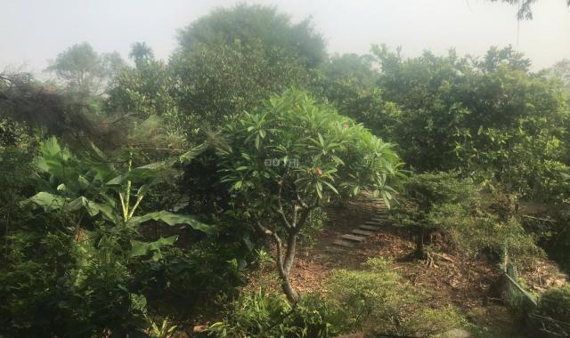 Bán đất tại Đường Bình Hòa - Cây Dương, Vĩnh Cửu, Đồng Nai diện tích 2400m2 giá 9.5 Tỷ