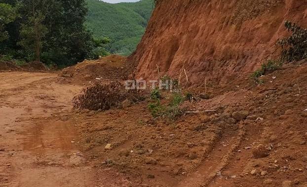 Chính chủ cần bán khu đồi 1,6Ha Đường Quốc Lộ 20, Thị trấn Ma Đa Guôi, Lâm Đồng