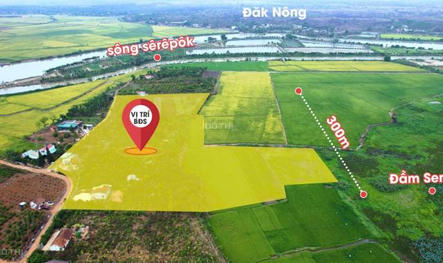 CHỦ CẦN BÁN GẤP LÔ ĐẤT SIÊU ĐẸP TẠI QUỲNH NGỌC – CƠ HỘI VÀNG ĐẦU TƯ SINH LỜI CAO.