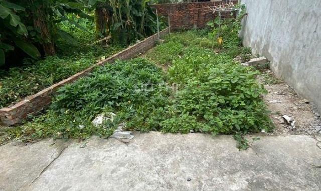 Bán đất Tổ 12 Đồng Mai, sát dịch vụ Đồng Mai, Vành Đai 4, giá 2,x tỷ