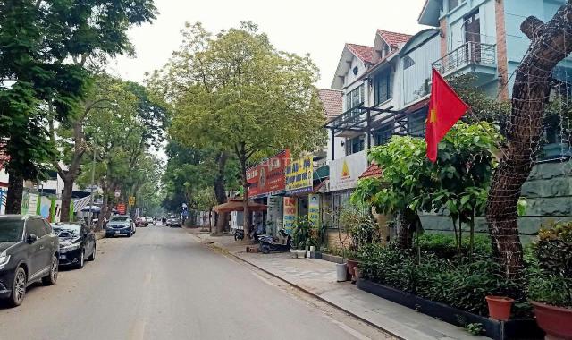 Cho thuê biệt thự Mỹ Đình 2 vị trí đẹp trục chính giá 50 triệu/tháng