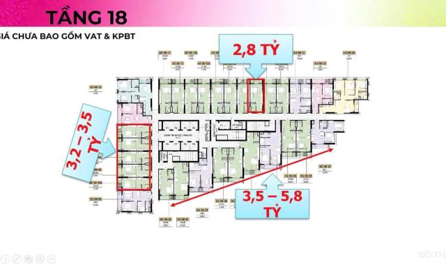 🌟THE XANH 2 – CĂN HỘ VIEW PHÁO HOA GIỮA TRUNG TÂM VỊNH CÁT BÀ 