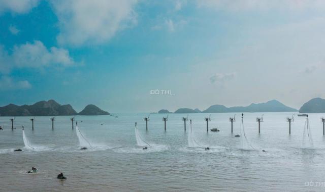 🌟THE XANH 2 – CĂN HỘ VIEW PHÁO HOA GIỮA TRUNG TÂM VỊNH CÁT BÀ 