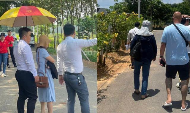 CƠN SỐT ĐẤT NỀN TÂN ĐỊNH SÁT ĐẠI NAM