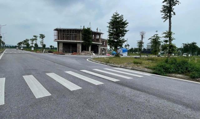 Bán Đất Khu Đô Thị Đức Giang, Yên Dũng, TP Bắc Giang . Diện Tích 90m2 - 131m2.