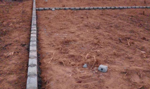 Đất vàng Chũ Bắc Giang - 220M2 giá 580 triệu, vị trí đắc địa