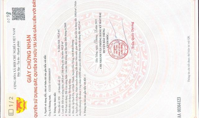 ĐẤT BÌNH DƯƠNG ĐƯỜNG NHỰA GIÁ 550 TRIỆU/542m
