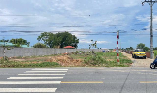 Bán đất Mt Ql 50 - Gò công, Giá 500tr, Dt 100m2, Shr, công chứng sang tên ngay