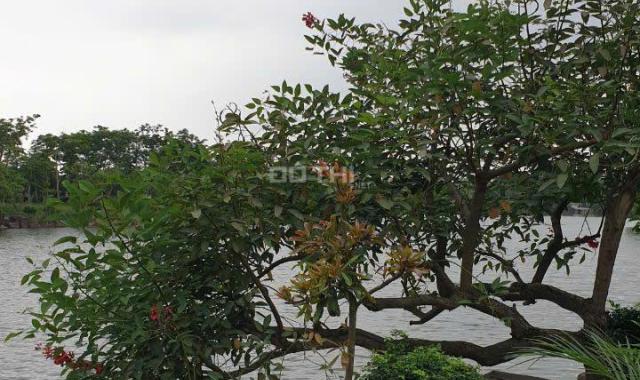💎 SIÊU PHẨM ĐẤT ĐẸP TRUNG TÂM TỪ SƠN – VIEW HỒ – SỔ ĐỎ TỪNG LÔ – GIÁ CHỈ TỪ 44 TRIỆU/M