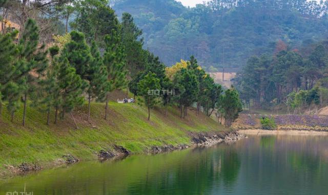 BÁN ĂN BIỆT THỰ SONG LẬP NGOẠI GIAO DỰ ÁN THANH XUÂN VALLEY GIÁ RẺ NHẤT THỊ TRƯỜNG CHỈ TỪ 12,9 TỶ