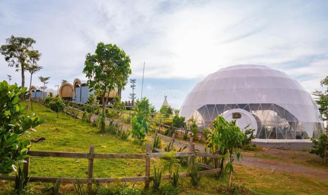 Đất Đẹp La Ngà – Sổ Riêng, View Chill, Đường Ô Tô – Chính Chủ Sang Nhượng