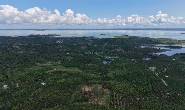 Đất Đẹp La Ngà – Sổ Riêng, View Chill, Đường Ô Tô – Chính Chủ Sang Nhượng