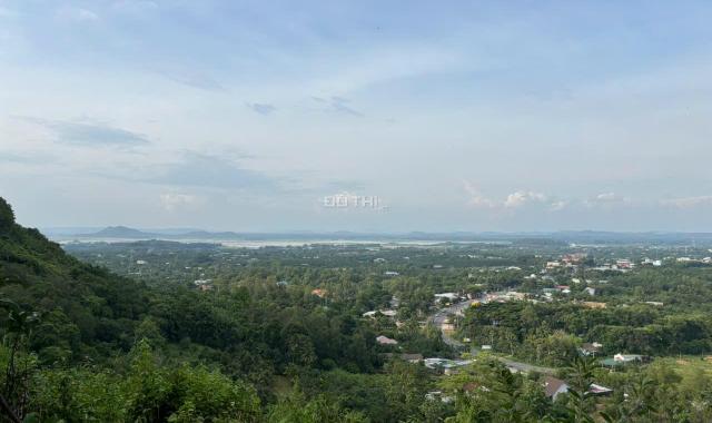 Đất Đẹp La Ngà – Sổ Riêng, View Chill, Đường Ô Tô – Chính Chủ Sang Nhượng