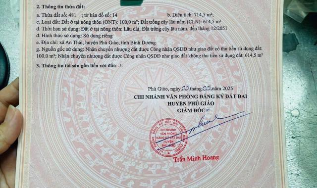 CHÍNH CHỦ BÁN MIẾNG ĐẤT ĐANG TRỒNG SẦU RIÊNG (7 năm) ĐỐI DIỆN CHỢ AN THÁI