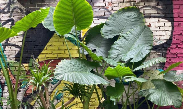 Bán nhà ngõ thông xe 3 gác phố Đại la, 12.3 Tỷ có thương lượng