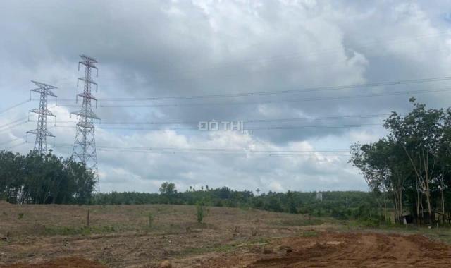 CHO THUÊ GẤP – ĐẤT ĐẸP GIÁ SIÊU TỐT – 45.000m² TẠI AN LONG