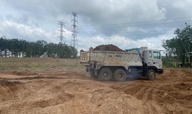 CHO THUÊ GẤP – ĐẤT ĐẸP GIÁ SIÊU TỐT – 45.000m² TẠI AN LONG