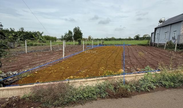 Bán đất tại Đường 765, Xã Bình Trung, Châu Đức, Bà Rịa Vũng Tàu diện tích 147m2 giá 1.55 Tỷ