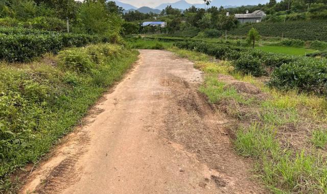Thái Nguyên, diện tích 358,5m2 có 100m2 thổ cư. Nằm trong dự án quy hoạch xã Đại Phúc mới