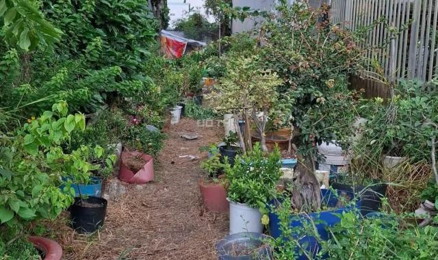 GẤP - em cần bán MT Giồng Cát 145m2 giá ngộp chỉ 520Tr lấy vốn làm ăn