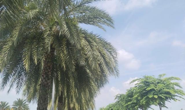 KDC Kinghill Residences Đã Có Sổ Cần Chủ Sớm Vài Lô Cuối