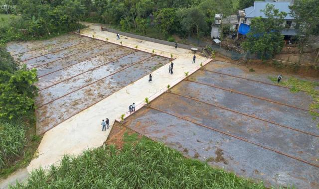 Đất nền thổ cư Thạch Cẩm, Thạch Thành, Thanh Hoá