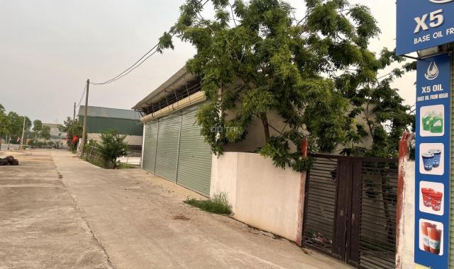 SIÊU CƠ HỘI – ĐẤT TRUNG TÂM XÃ QUẢNG OAI – BA VÌ CHỈ 60 TRIỆU/M