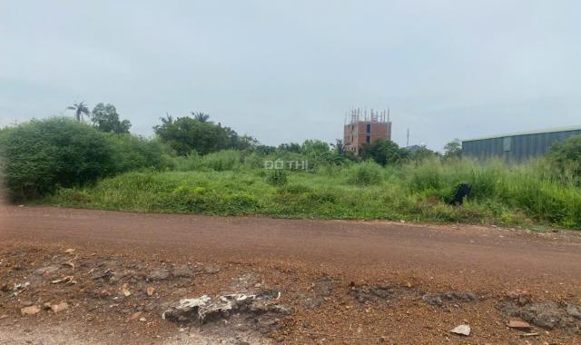 Cần bán Đất An Thạnh, Thuận An Diện tích : 196,5m2