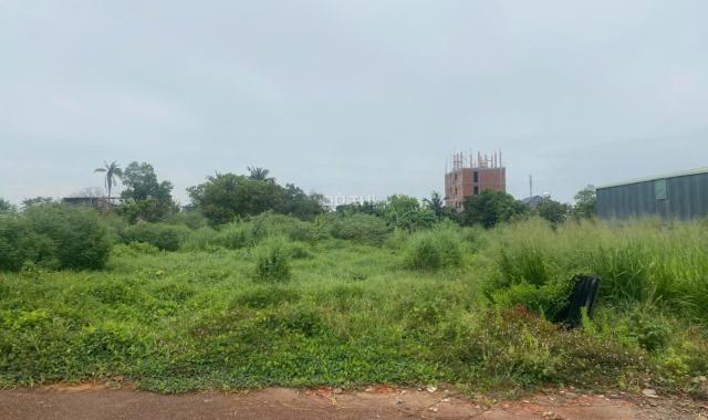 Cần bán Đất An Thạnh, Thuận An Diện tích : 196,5m2