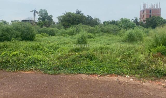 Cần bán Đất An Thạnh, Thuận An Diện tích : 196,5m2