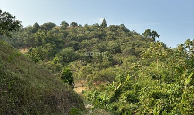 Bán đất Xã Tiên Hoàng, Huyện Cát Tiên, Tỉnh Lâm Đồng