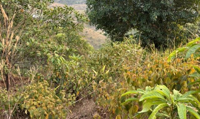 Bán đất Xã Tiên Hoàng, Huyện Cát Tiên, Tỉnh Lâm Đồng