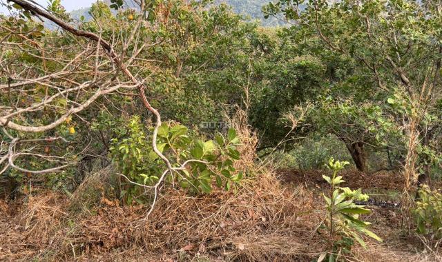 Bán đất Xã Tiên Hoàng, Huyện Cát Tiên, Tỉnh Lâm Đồng