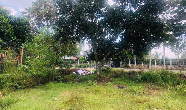 Cần Bán Lô Đất Vườn 552m2 tại Xã Nhuận Đức, Huyện Củ Chi, TP.HCM. Giá TL