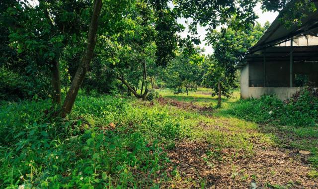 CHÍNH CHỦ BÁN ĐẤT VƯỜN TẠI QUANG TRUNG - THỐNG NHẤT DIỆN TÍCH 1000m2 GIÁ CHỈ 980TR