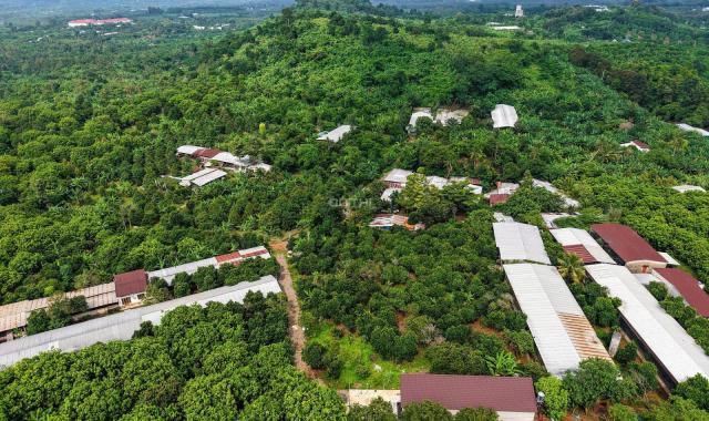 CHÍNH CHỦ BÁN ĐẤT VƯỜN TẠI QUANG TRUNG - THỐNG NHẤT DIỆN TÍCH 1000m2 GIÁ CHỈ 980TR