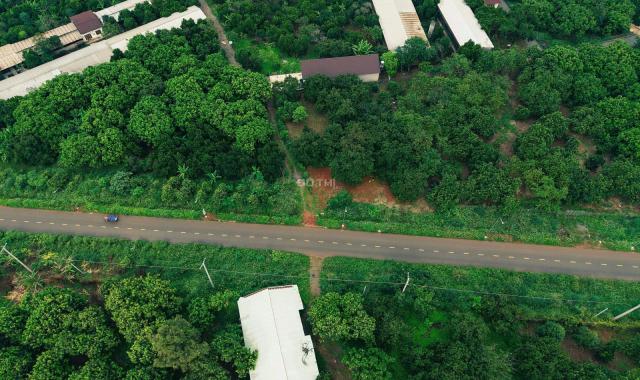 CHÍNH CHỦ BÁN ĐẤT VƯỜN TẠI QUANG TRUNG - THỐNG NHẤT DIỆN TÍCH 1000m2 GIÁ CHỈ 980TR