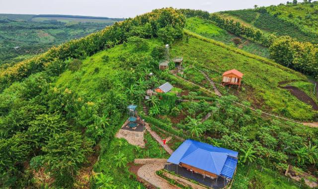 BÁN ĐẤT VƯỜN LA NGÀ - ĐỊNH QUÁN, ĐỒNG NAI, VIEW HỒ TRỊ AN 1000m2 GIÁ CHỈ 850TR