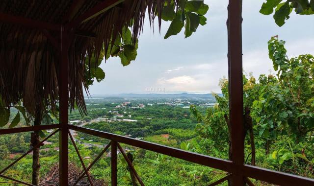 BÁN ĐẤT VƯỜN LA NGÀ - ĐỊNH QUÁN, ĐỒNG NAI, VIEW HỒ TRỊ AN 1000m2 GIÁ CHỈ 850TR