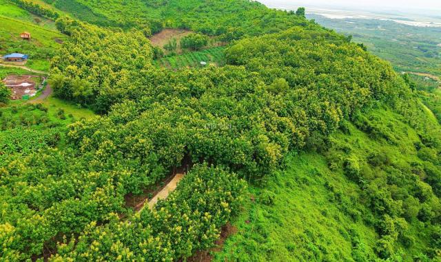 BÁN ĐẤT VƯỜN LA NGÀ - ĐỊNH QUÁN, ĐỒNG NAI, VIEW HỒ TRỊ AN 1000m2 GIÁ CHỈ 850TR