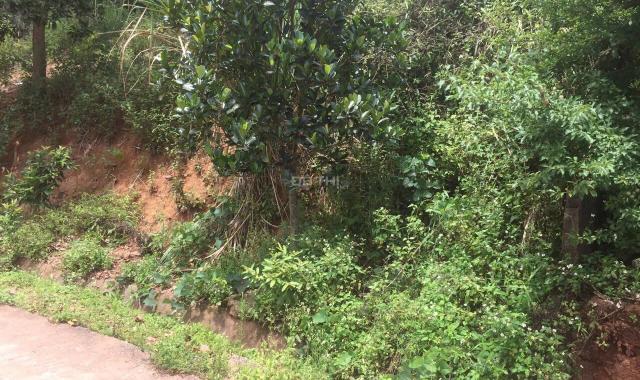 ĐẤT VÀNG NGHỈ DƯỠNG – HOMESTAY TẠI CHIỀNG SƠN
