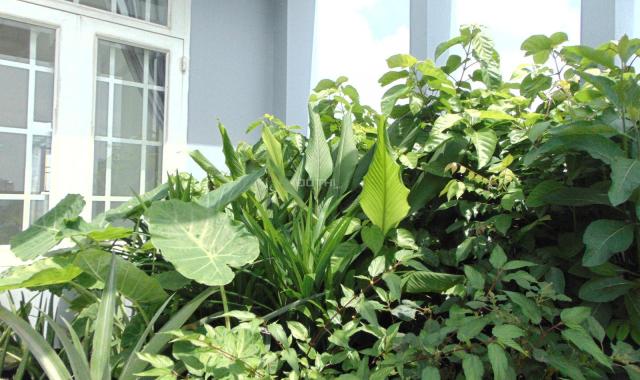 Bán nhà, phường An Lạc, quận Bình Tân, tp. Hồ Chí Minh, diện tích 64m2, giá 8.5 tỷ