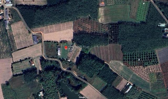 🏡 bán đất nền giá rẻ -200TR xã bầu đồn, gò dầu, tây ninh 