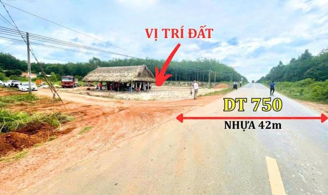 SIÊU PHẨM ĐẤT NỀN MẶT TIỀN DT750 42M – CƠ HỘI VÀNG CHO NHÀ ĐẦU TƯ!