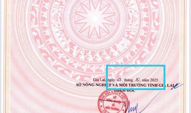 Hàng mới ra lò giá FO trực tiếp chủ đầu tư