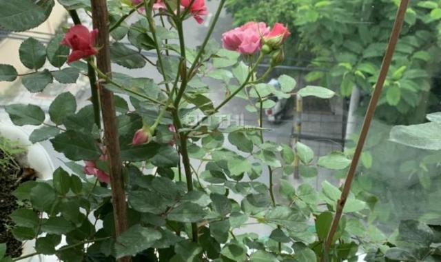 Ann về Úc bán nhà mặt tiềng đường cách Vạn Phúc City chưa tới 50m